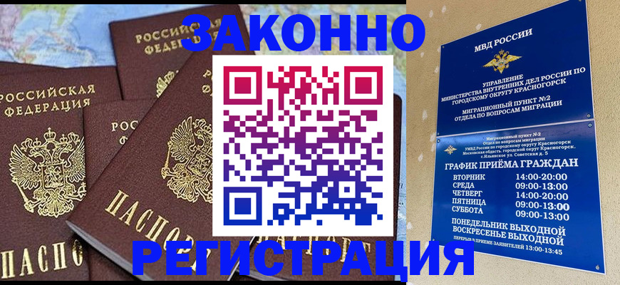 временная регистрация надежно в Новозыбкове